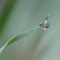 /album/galerie-photos/frida-dumont-img-4494-jpg1/